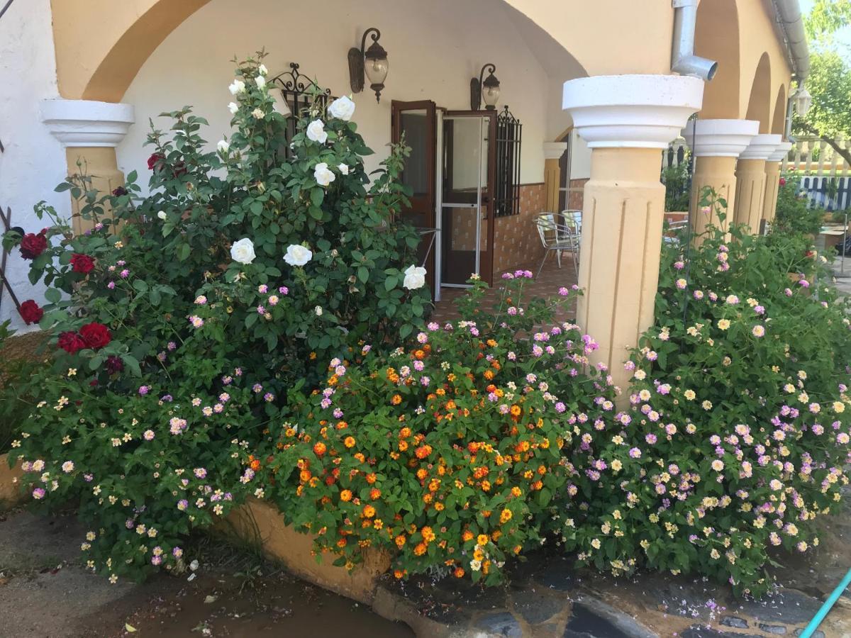 Finca La Rosalia Setenil De Las Bodegas Ngoại thất bức ảnh